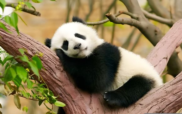 Le tappe del vostro itinerario