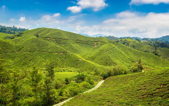 Le tappe del vostro itinerario