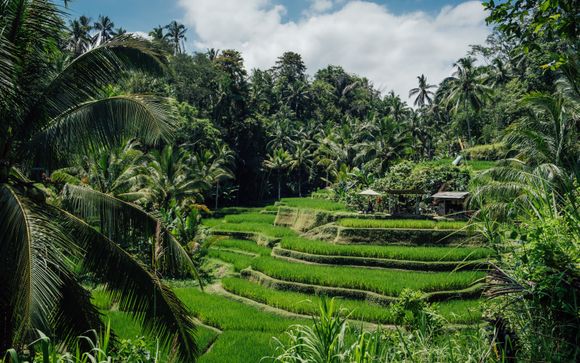 L'anteprima del vostro viaggio 