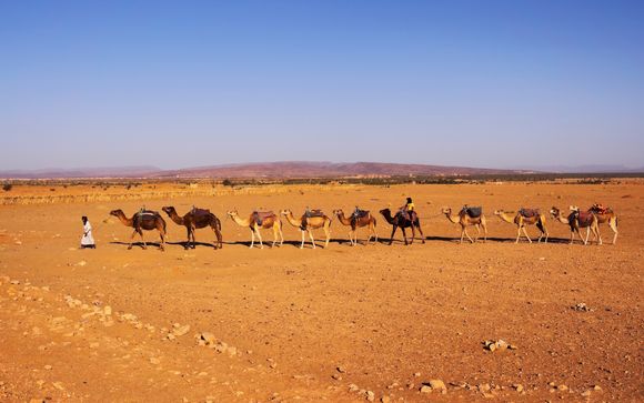 Le tappe del vostro itinerario 