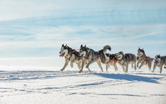Le tappe del vostro itinerario 