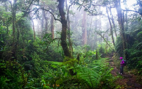 Le tappe del vostro itinerario 