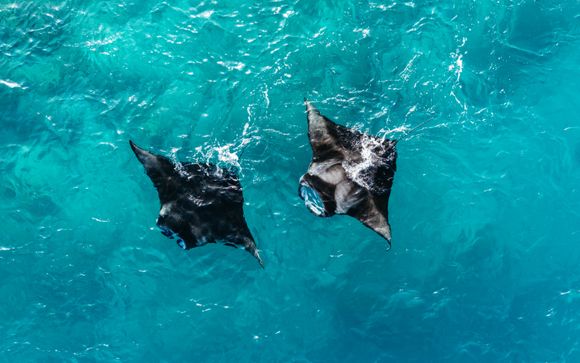 Le tappe del vostro itinerario