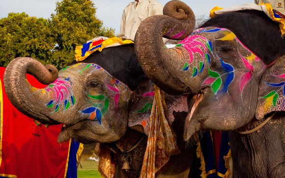 L'anteprima del vostro viaggio