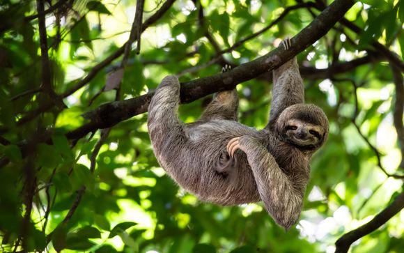 Le tappe del vostro itinerario 