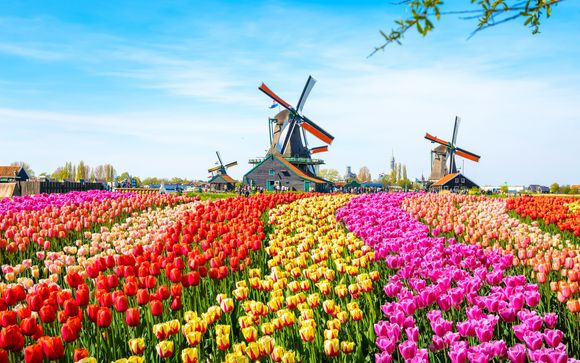 Escursione a Zaanse Schans, Edam, Volendam e Marken per soggiorni a partire da 4 notti