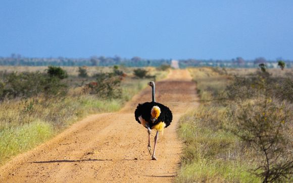 Le tappe del vostro itinerario