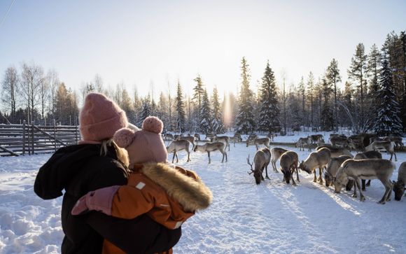 Alla scoperta della Finlandia 