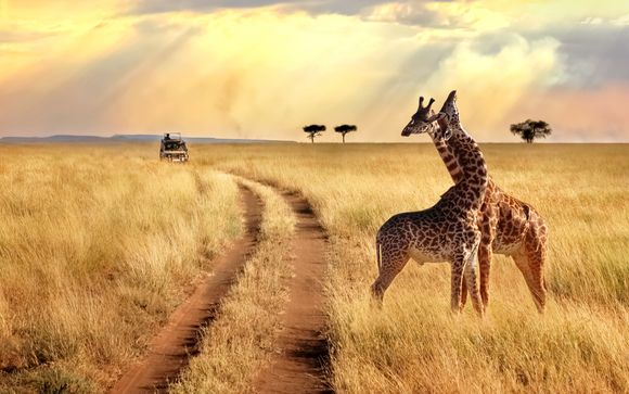 Le tappe del vostro itinerario
