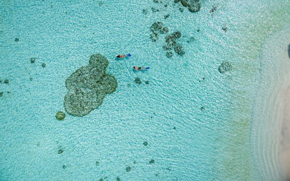 Sessione di snorkeling sulla barriera corallina dell’isola