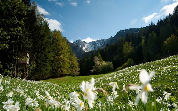 Alla scoperta di Bad Kleinkirchheim