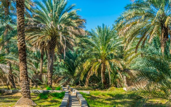 Alla scoperta di Al Ain