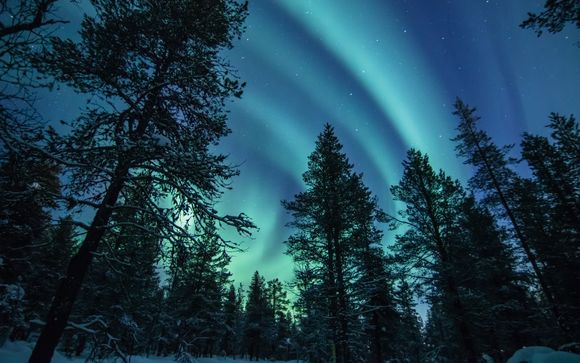 Caccia all’aurora boreale nella natura selvaggia (3 ore)