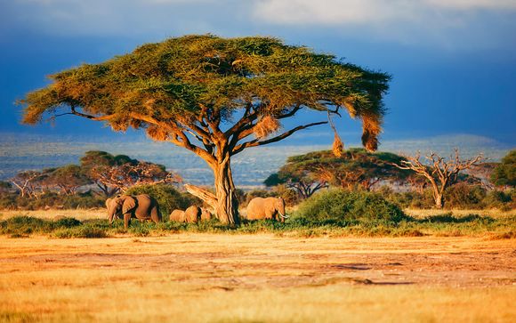 Avventura in Kenya in due tappe
