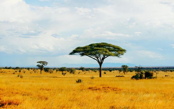 Il vostro viaggio in Kenya