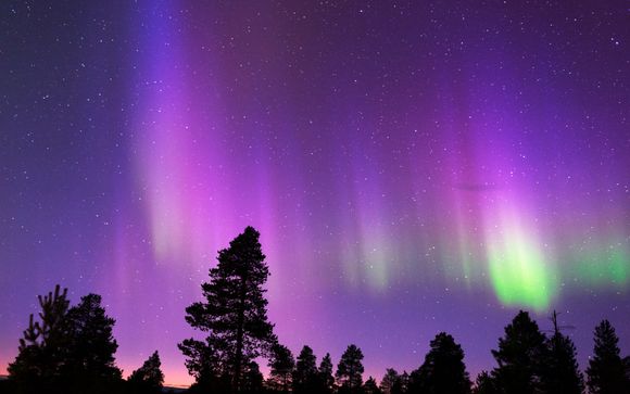 Escursione di 3 ore in macchina alla ricerca dell'Aurora Boreale