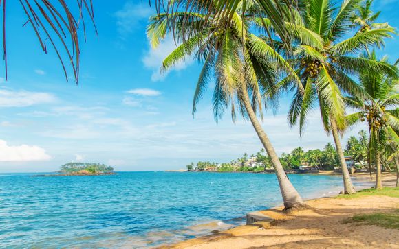 Tra natura, animali selvatici e spiagge da sogno