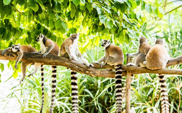 Le tappe del vostro itinerario 