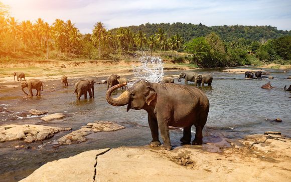 Itinerario Tour dello Sri Lanka
