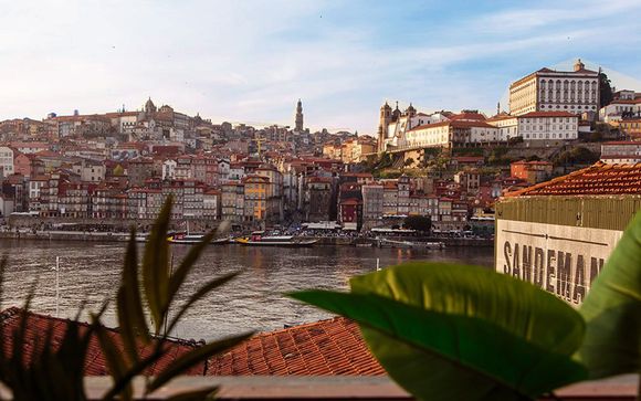 Originale e confortevole struttura affacciata sul Douro