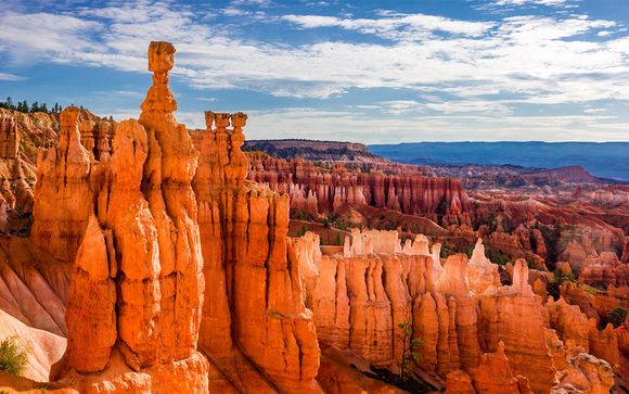 Cowboys & Canyons