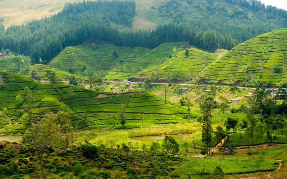 Sri Lanka - L'itinerario del tour