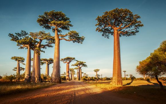 Alla scoperta del Madagascar