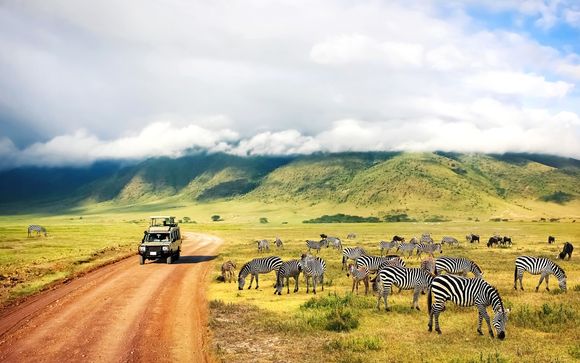 Safari del circuito 