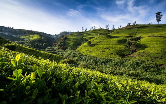 Alla scoperta dello Sri Lanka
