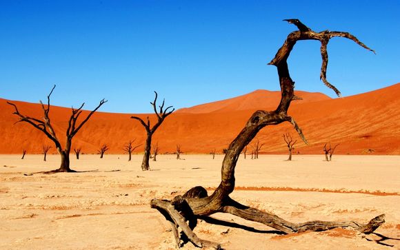 Avventurosa Namibia