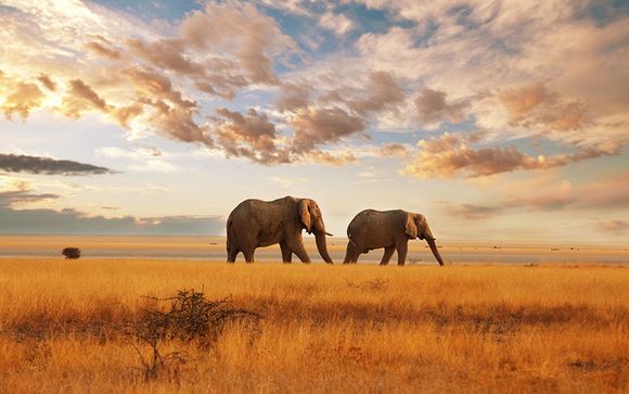 Top 10 siti di incontri sudafricani