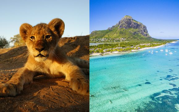 Safari mozzafiato nella savana e soggiorno mare a 4*