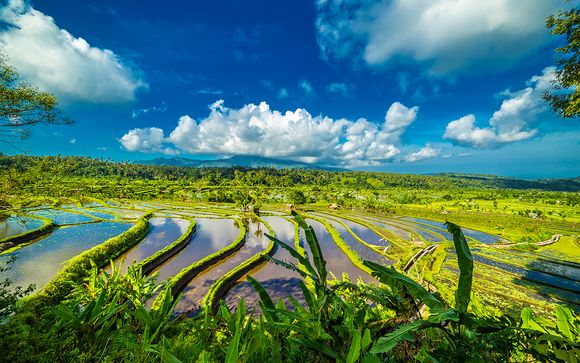 Alla scoperta dell'Indonesia
