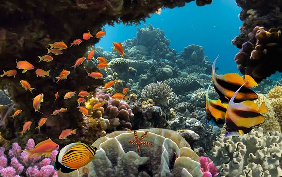 Alla scoperta di Marsa Alam