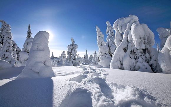 Alla scoperta della Finlandia