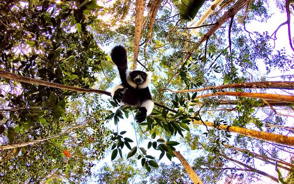 Tour alla scoperta del Madagascar tra natura e vulcani