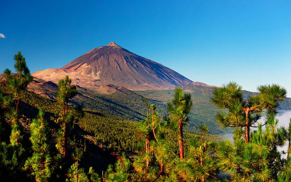 Alla scoperta di Tenerife