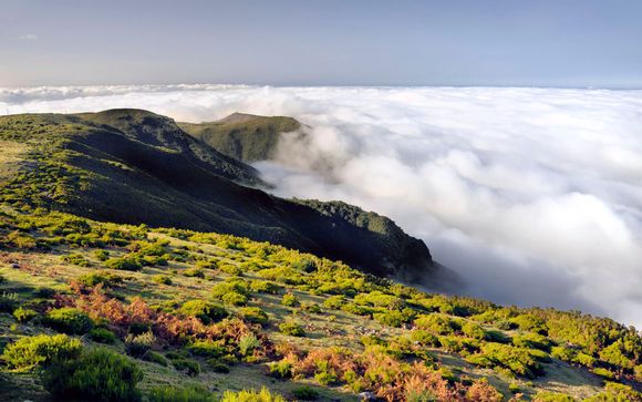 Alla scoperta di Madeira