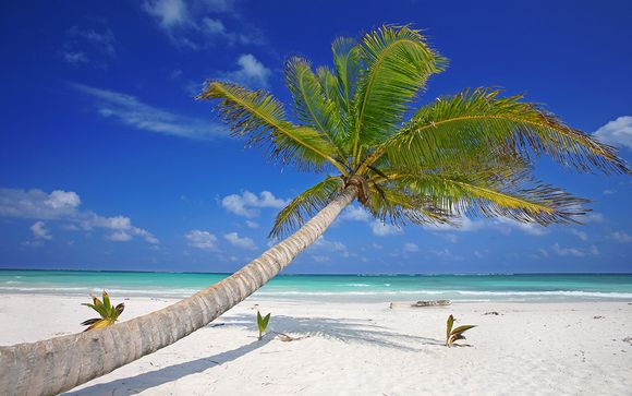 Alla scoperta della Riviera Maya