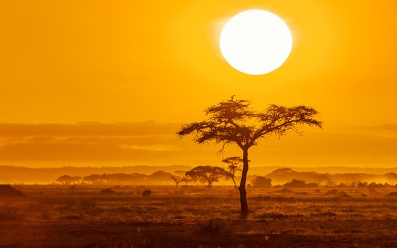 Alla scoperta del Kenya