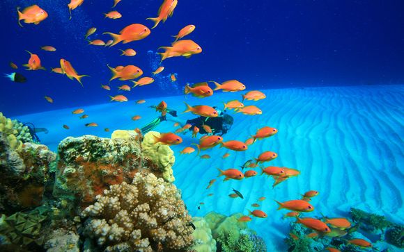 Alla scoperta di Sharm El Sheikh