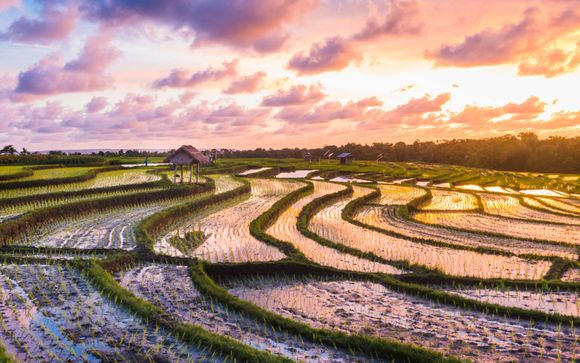 Esperienze incluse a Ubud