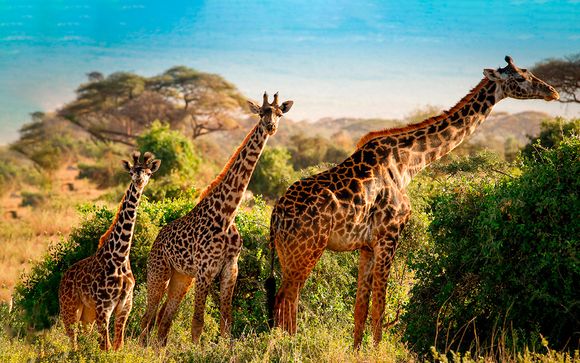 Alla scoperta del Kenya