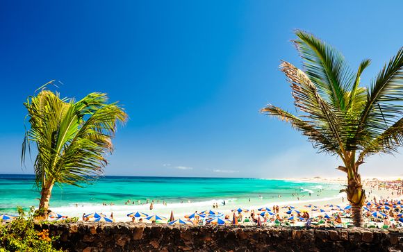 Alla scoperta di Fuerteventura