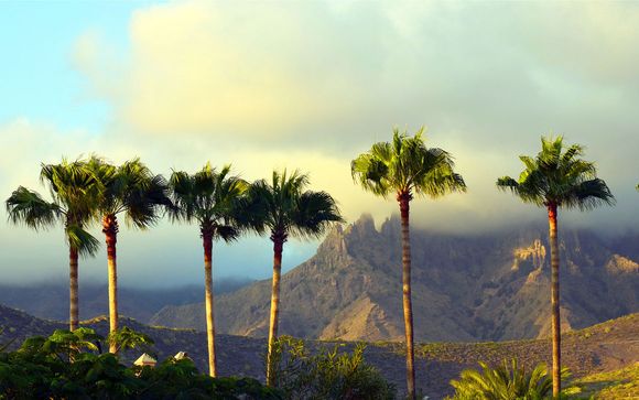 Alla scoperta di Tenerife
