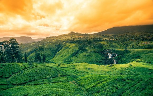 Alla scoperta dello Sri Lanka