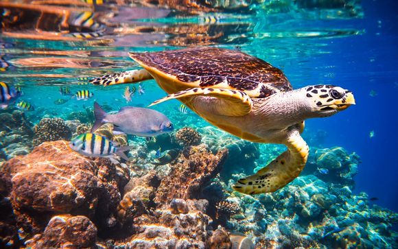 Esperienze incluse alle Maldive