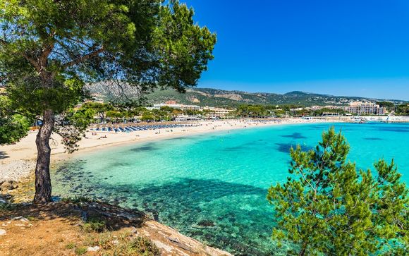 Alla scoperta di Maiorca