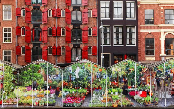 Alla scoperta di Amsterdam