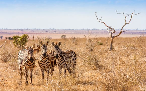 Itinerario di 3 notti - Safari a Tsavo Est / Amboseli / Saltlick